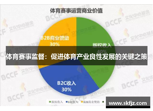 体育赛事监督：促进体育产业良性发展的关键之策